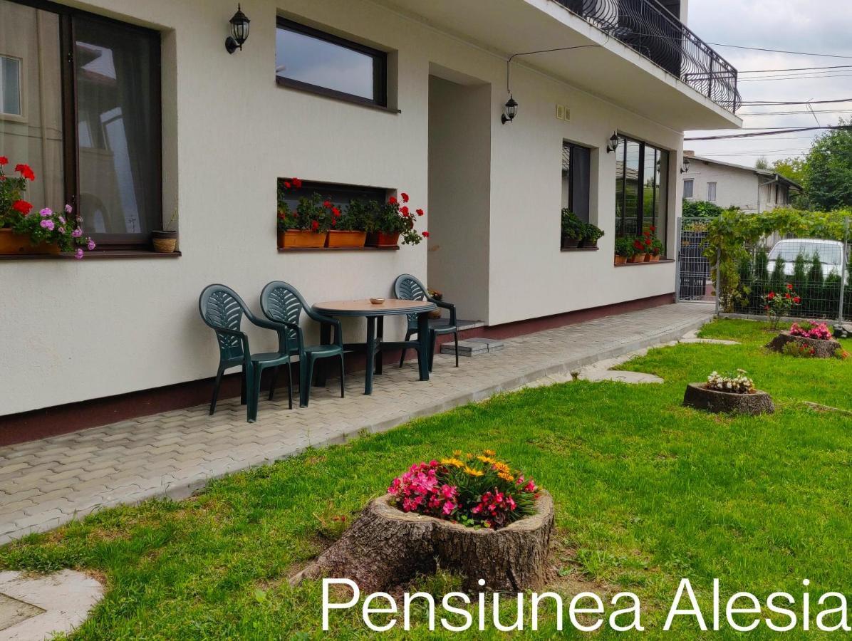 Pensiunea Alesia Pucioasa Exterior photo